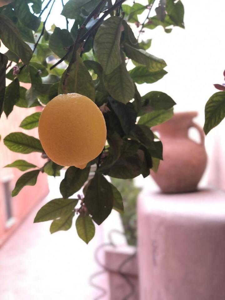 A Casa Dei Sasso Villa Positano Eksteriør billede