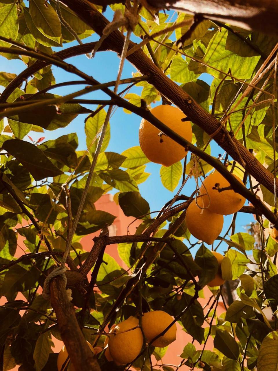 A Casa Dei Sasso Villa Positano Eksteriør billede